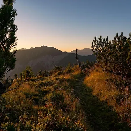 Bed & Breakfast Berggasthof Schuettalm 3*