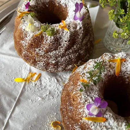 Bed & Breakfast Berggasthof Schuettalm 3*