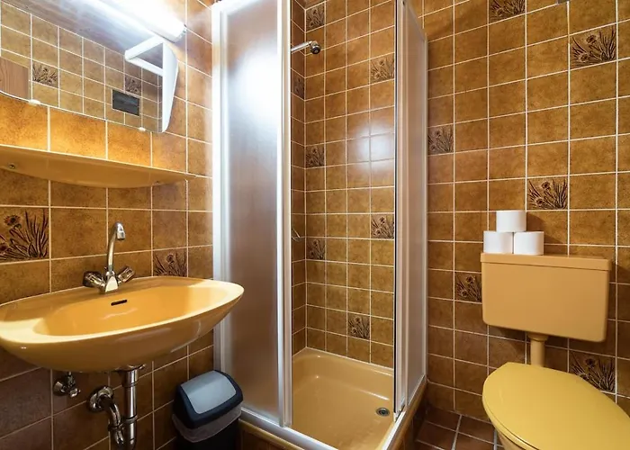 住宿加早餐酒店 Berggasthof Schuettalm