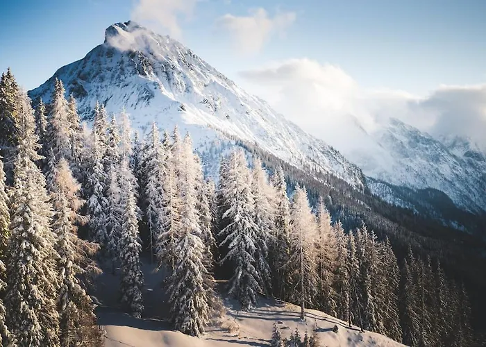 Berggasthof Schuettalm Bed & Breakfast 3*