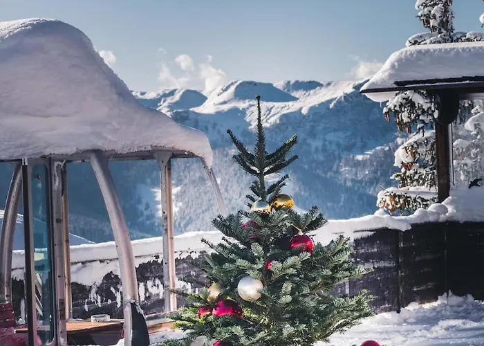 Berggasthof Schuettalm 住宿加早餐酒店 克雷纳尔
