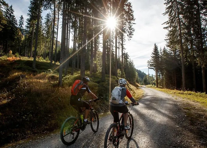 Berggasthof Schuettalm Bed & Breakfast